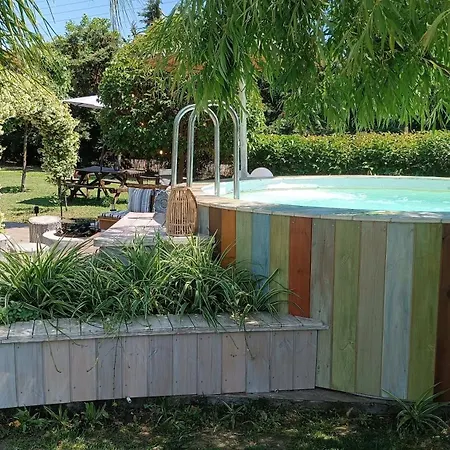 Dream House By The Sea In Cocoland *