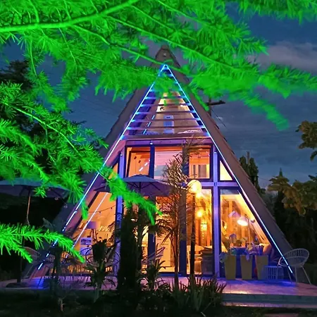 Dream House By The Sea In Cocoland