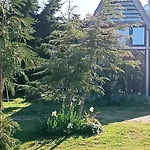 Dream House By The Sea In Cocoland シャレー *
