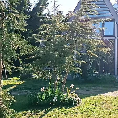 Dream House By The Sea In Cocoland Chalé *