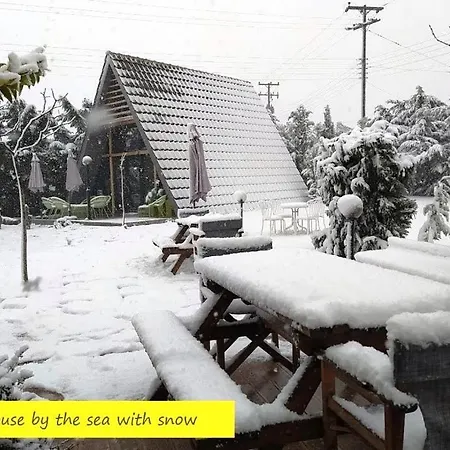 Chalé Dream House By The Sea In Cocoland *