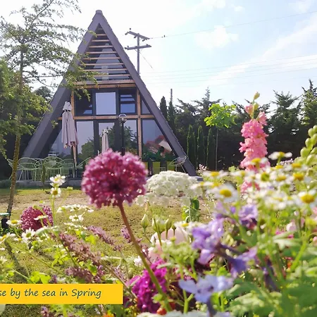Dream House By The Sea In Cocoland Chalé *