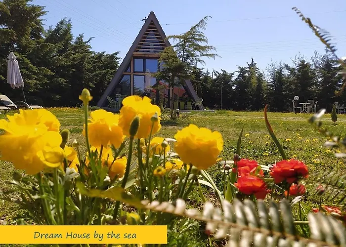 Dream House By The Sea In Cocoland *