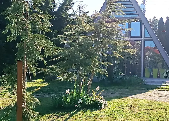 Dream House By The Sea In Cocoland Dağ evi *