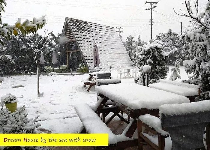 Dağ evi Dream House By The Sea In Cocoland *