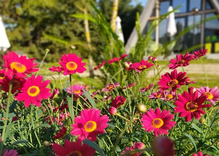 Dream House By The Sea In Cocoland *